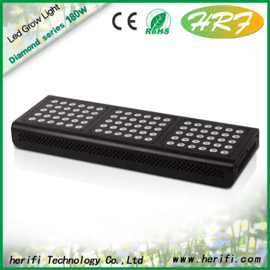 Indoor grow hydroponic led lights