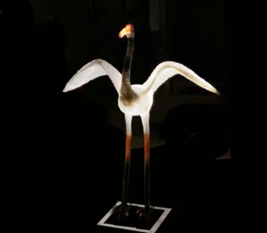 Simulation Crane M Lights