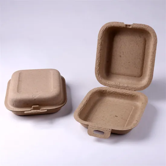 Recycled Paper Pulp Molded Clothing Clamshell Packaging Box