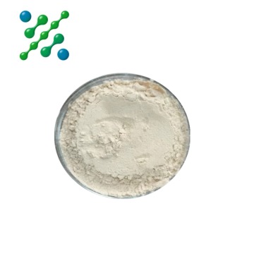 florfenicol oral solution OEM
