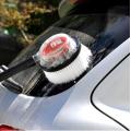 Brosse de détail de la voiture pour le nettoyage de lavage automatique