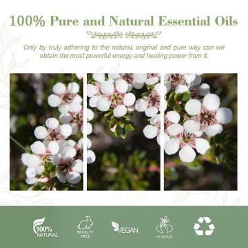 Óleo essencial de manuka orgânico a granel para difusor de aromaterapia, pele oleosa, cabelo