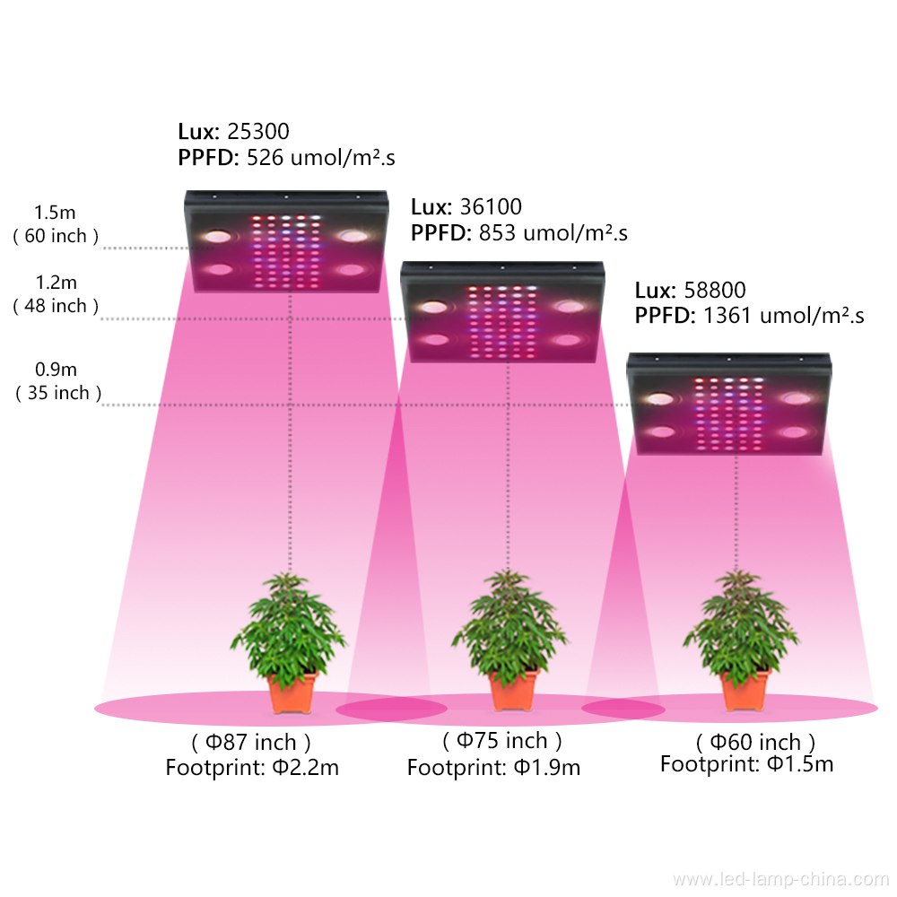 COB LED Grow Light 12-brand Panel