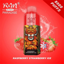 Хамгийн сайн бөөний худалдаа эрхэлдэг Vape Pen Pen R &amp; M Paradise 8K