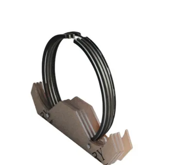 Mwm Rhs435 Piston Ring Diameter 250mm Marine Diesel Engine