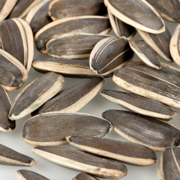 stock for sunflower seeds
