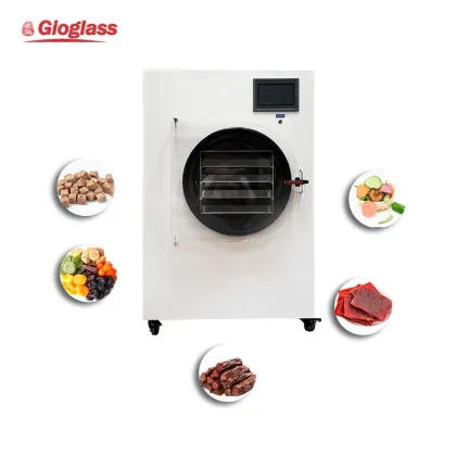 Mini Household Vacuum Freeze Dryer Machine for Candy