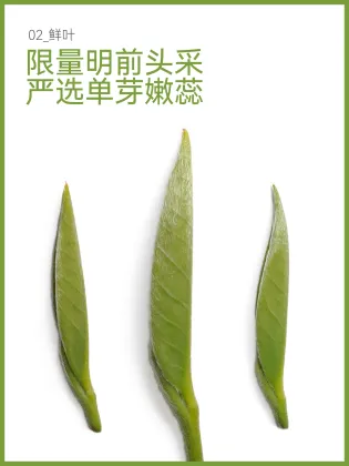 Jihu Chun Lianghe Huilong Single Bud Tea