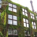 Malha de treliça sustentável para jardinagem vertical