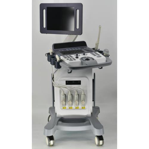 3D/4D Color Doppler Ultrasound Scan Trolley