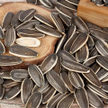 Raccolta dei semi di girasole 363