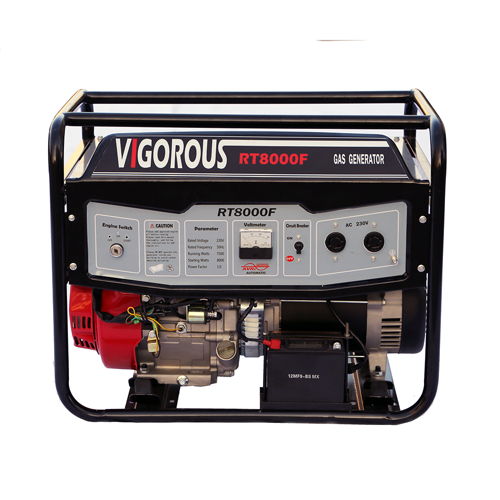 8KW LPG NG Generator For Home Back Up