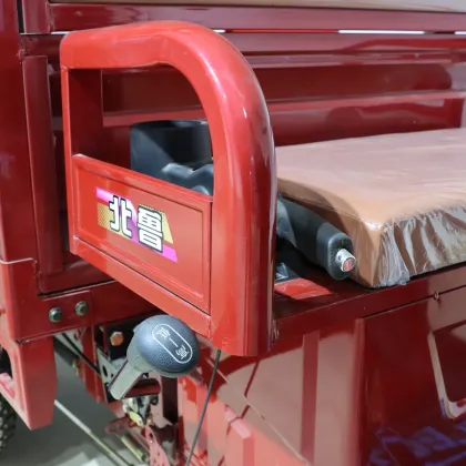 Cargo Bike 3 Wheel Electric Cargo Car