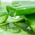 Aloe Vera Extrakt Aloin für die Gesundheit der Haut