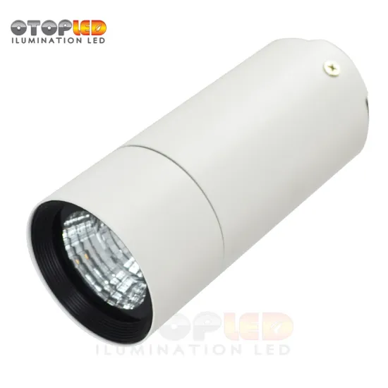 Surface mount 10W Led down lights
