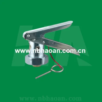 Brass Head Valve Fore Fire Extinguisher