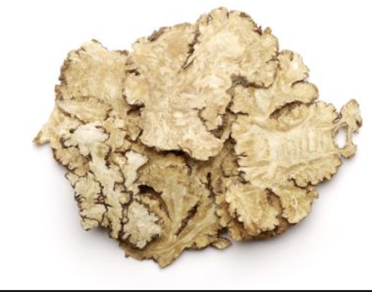 Chuanxiong Extract Supplier