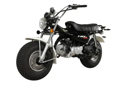 SKYTEAM 125cc E5 4 Stroke T-REX RV90 Beach Motorcycle (EEC Euro5 Euro4 Approved)