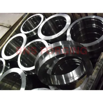 forging part(valve parts)