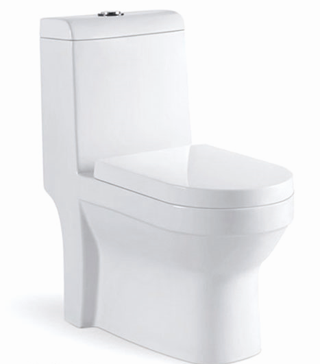 Siphon Bathroom One Piece Toilet