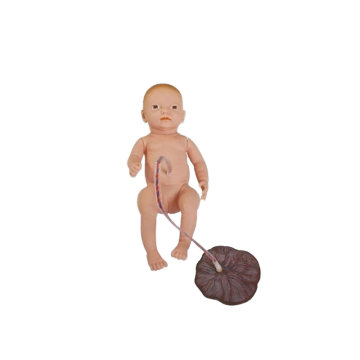 Darhmmy Medical Model Nursing Manikin avec cordon ombilical néonatal et placenta