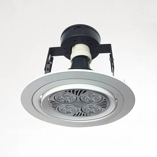 Round Recessed Die Cast Aluminum PAR30 E27 Downlights
