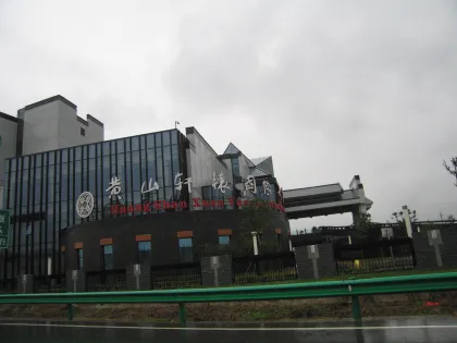 Qihong International Hotel Grid Roof Project