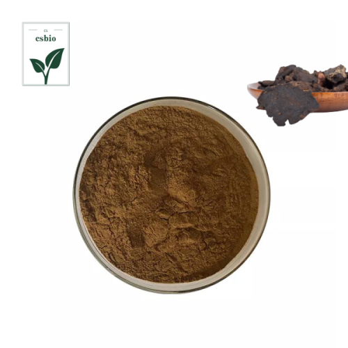 Radix Rehmanniae Preparata Extract