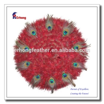 Peacock Feather Placemat