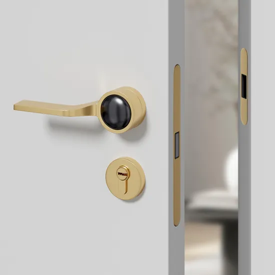 China Manufacturer Steel Door Cylinder Locks and Entrance Door Handles with Key