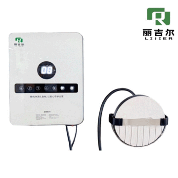 Safe and Efficient Food Purifier for Bacteria Control
