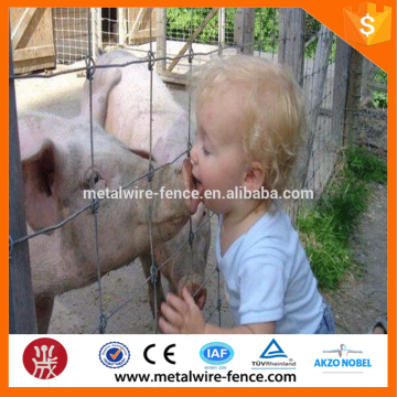 wholesale bulk farm cattle fence on sale