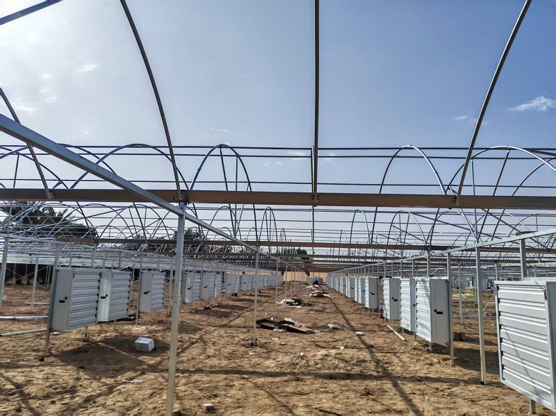 Chongqing Qingcheng Agriculture Accelerates Overseas Expansion; Qatar Greenhouse Project Progress Receives High Praise