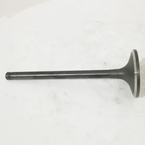 High Quality DCEC 6CT Diesel Engine Intake Valve 3802463