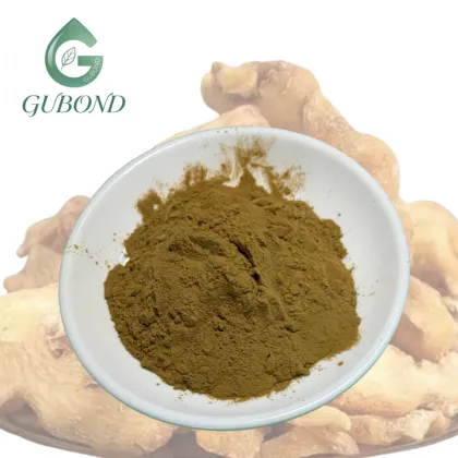 Polygonatum Extract Powder for Dietary Supplements