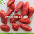 Approvisionnement en usine fruits Top qualité Pack Goji baies