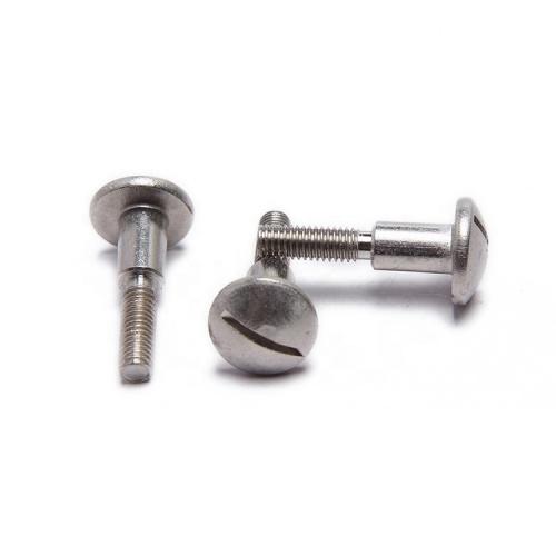 Stainless Steel Slotted Head Step Screw