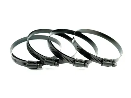 Stainless Steel Black Hose Clamps