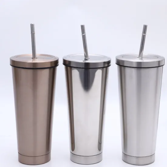 Double Stainless Steel Straw Cup