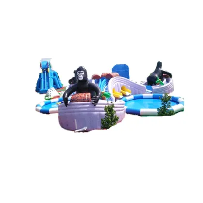 Giant Inflatable Water Slide and Play Equipment for Outdoor Fun
