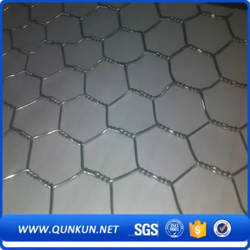 Galvanized Hexagonal Wire Mesh (Chicken Mesh)