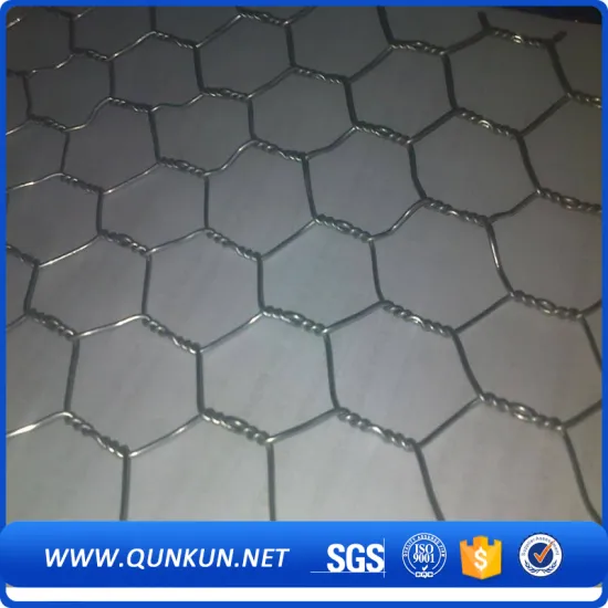 Hot sales Anping factory Hexagonal Wire Mesh