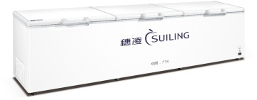 2000L supermarket chest freezer BD-2000