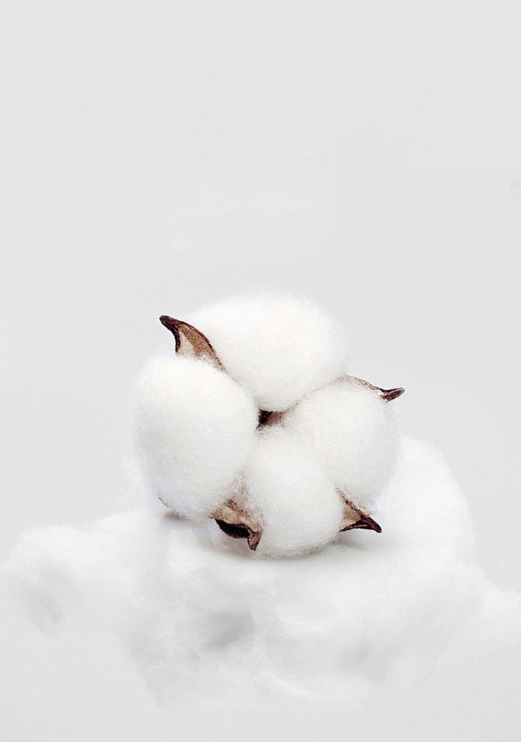 Spa Quality Cotton towels 2