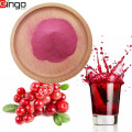 Produk Penjualan Panas Suplai Massal Bubuk Jus Cranberry