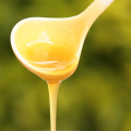 Vender envases a granel Miel de colza 100% natural