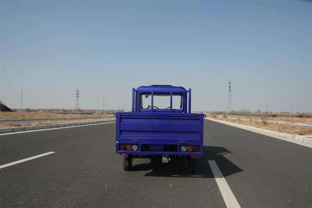 Double-door Electric Tricycle