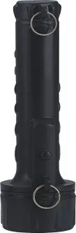 TORCH