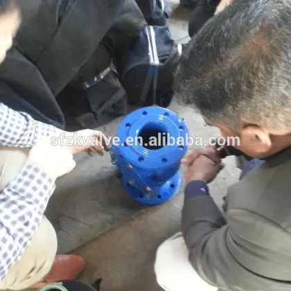Water meter before the filter/Water meter filter
