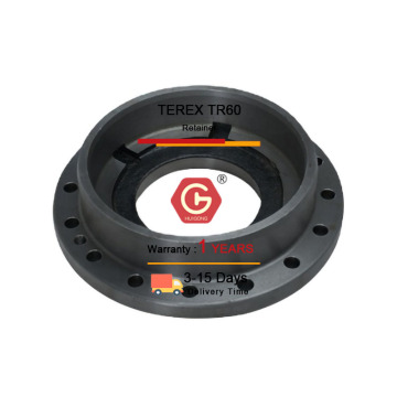 High Quality OEM Spare Parts RETAINER 9245131 Compatible with Terex TR60 - HUIGONG